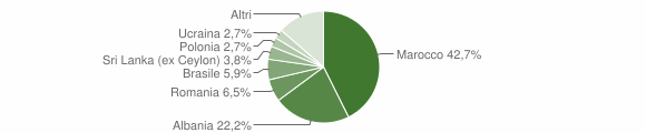 Grafico cittadinanza stranieri - Lezzeno 2011