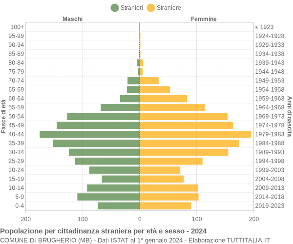 Grafico cittadini stranieri - Brugherio 2024