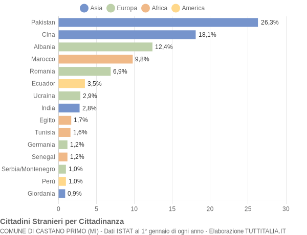 Grafico cittadinanza stranieri - Castano Primo 2007