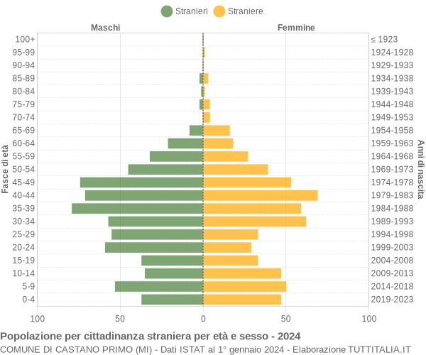 Grafico cittadini stranieri - Castano Primo 2024