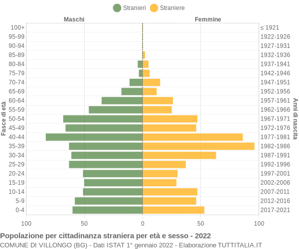 Grafico cittadini stranieri - Villongo 2022