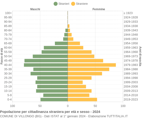 Grafico cittadini stranieri - Villongo 2024