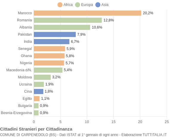 Grafico cittadinanza stranieri - Carpenedolo 2013