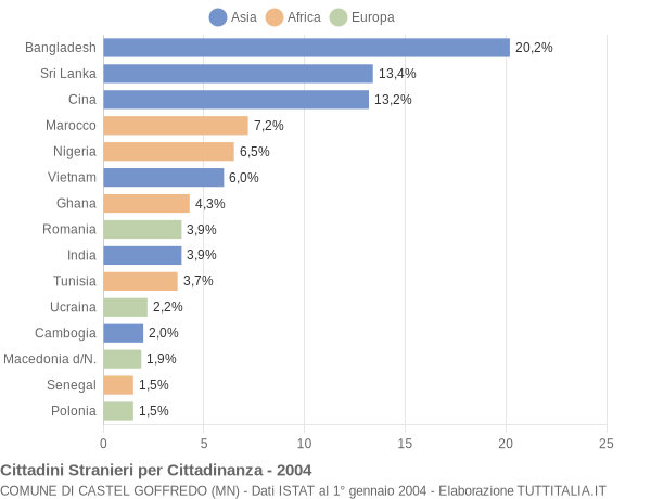 Grafico cittadinanza stranieri - Castel Goffredo 2004