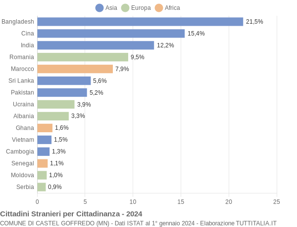 Grafico cittadinanza stranieri - Castel Goffredo 2024