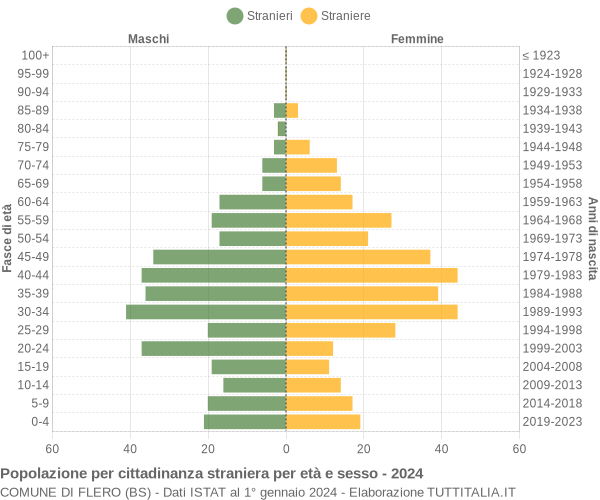 Grafico cittadini stranieri - Flero 2024