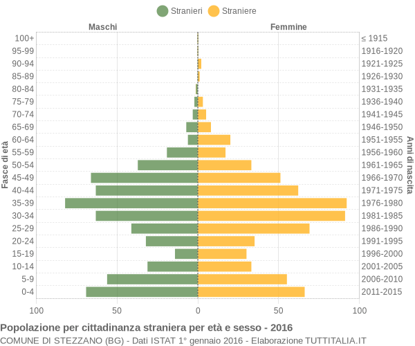 Grafico cittadini stranieri - Stezzano 2016