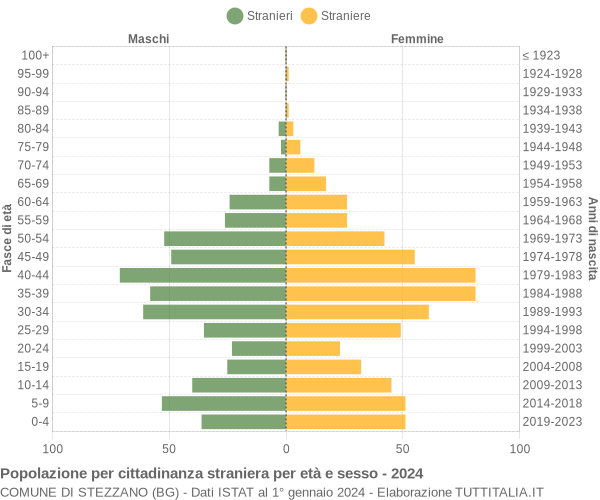 Grafico cittadini stranieri - Stezzano 2024