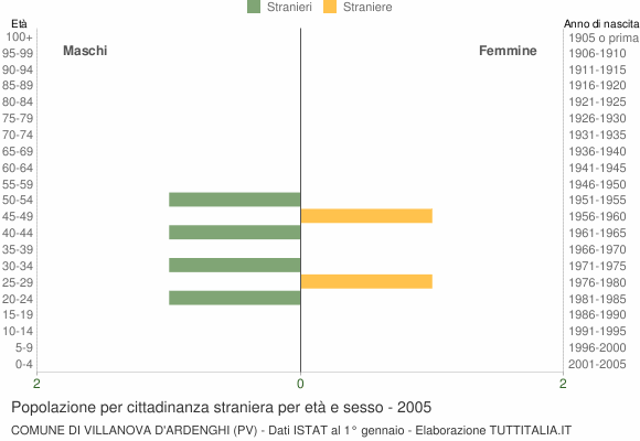 Grafico cittadini stranieri - Villanova d'Ardenghi 2005