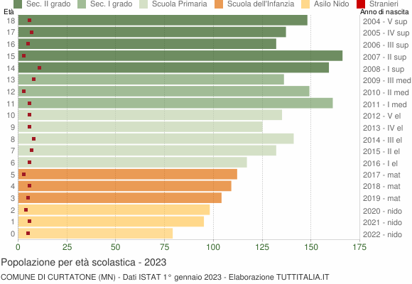 Grafico Popolazione in età scolastica - Curtatone 2023