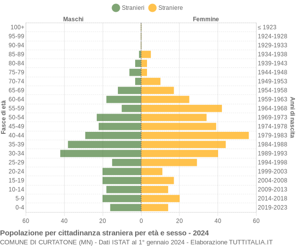 Grafico cittadini stranieri - Curtatone 2024