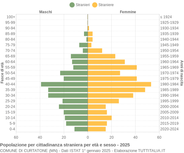 Grafico cittadini stranieri - Curtatone 2025