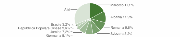 Grafico cittadinanza stranieri - Luino 2011