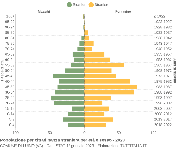 Grafico cittadini stranieri - Luino 2023