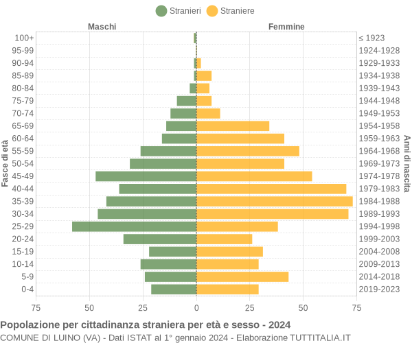 Grafico cittadini stranieri - Luino 2024