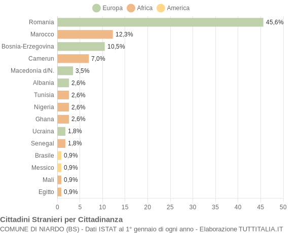 Grafico cittadinanza stranieri - Niardo 2009