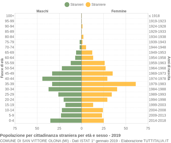 Grafico cittadini stranieri - San Vittore Olona 2019