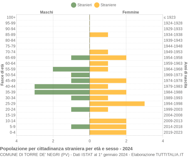 Grafico cittadini stranieri - Torre de' Negri 2024