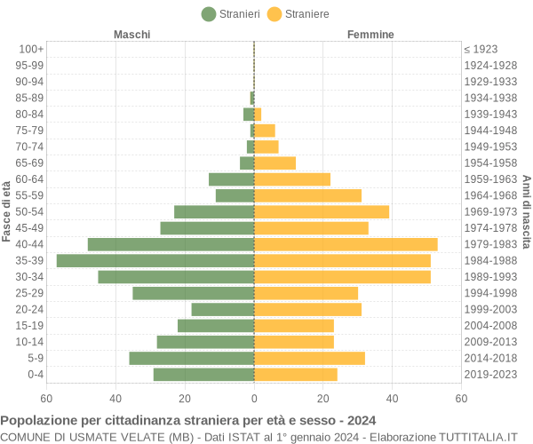 Grafico cittadini stranieri - Usmate Velate 2024