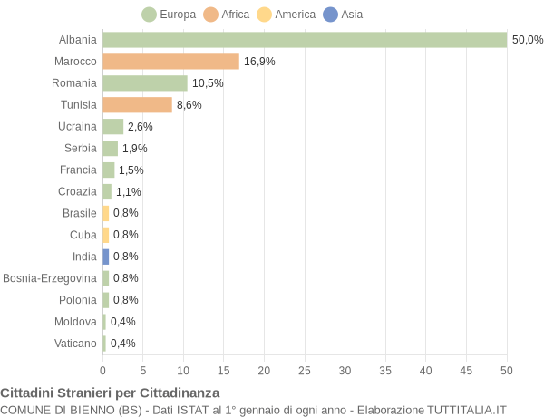 Grafico cittadinanza stranieri - Bienno 2009