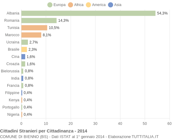 Grafico cittadinanza stranieri - Bienno 2014