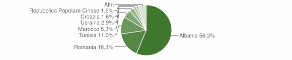 Grafico cittadinanza stranieri - Bienno 2015