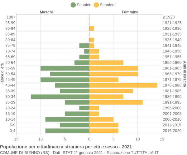 Grafico cittadini stranieri - Bienno 2021