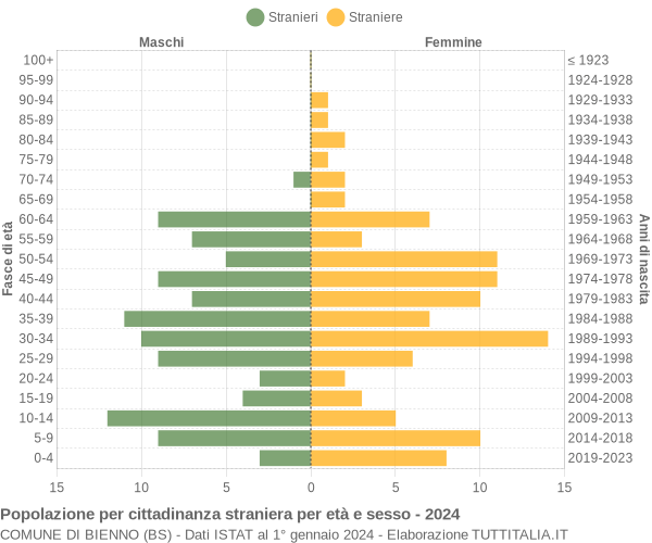 Grafico cittadini stranieri - Bienno 2024