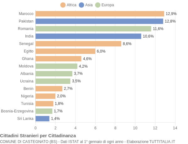 Grafico cittadinanza stranieri - Castegnato 2013