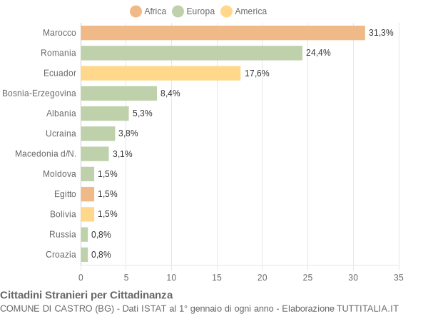 Grafico cittadinanza stranieri - Castro 2009