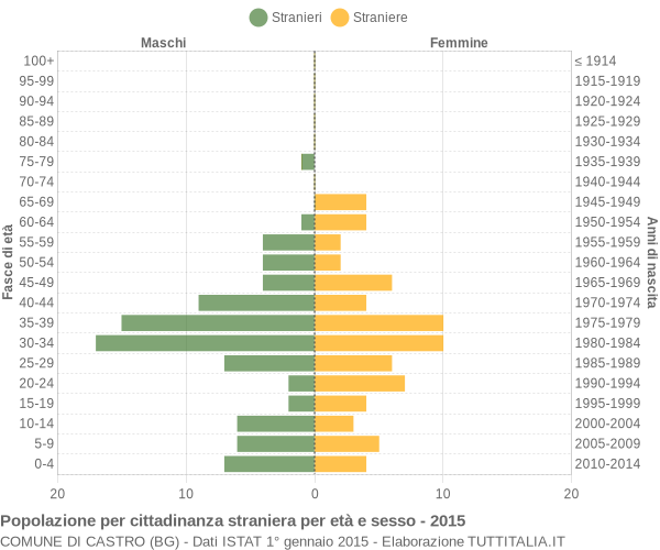 Grafico cittadini stranieri - Castro 2015