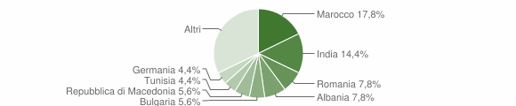 Grafico cittadinanza stranieri - Pianengo 2005