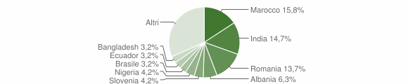 Grafico cittadinanza stranieri - Pianengo 2007