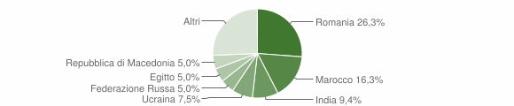 Grafico cittadinanza stranieri - Pianengo 2010
