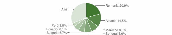 Grafico cittadinanza stranieri - Settala 2010