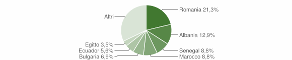 Grafico cittadinanza stranieri - Settala 2011