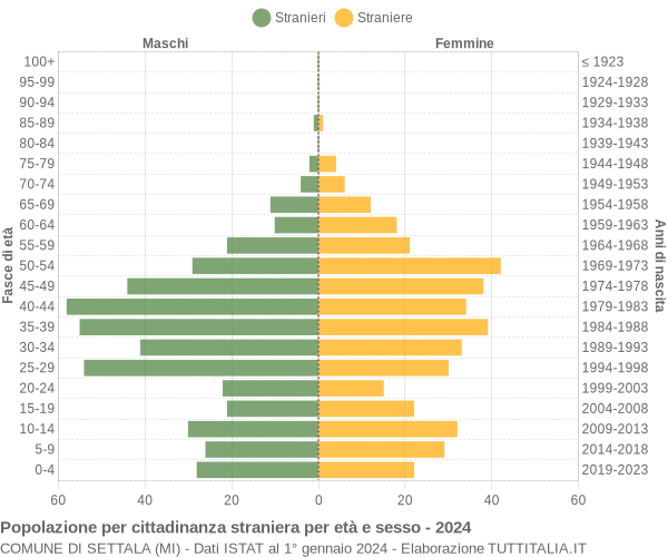 Grafico cittadini stranieri - Settala 2024