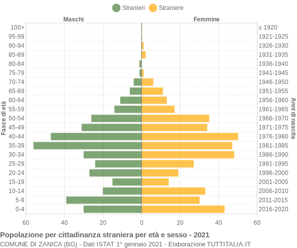 Grafico cittadini stranieri - Zanica 2021