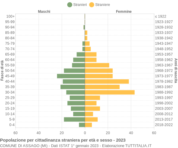 Grafico cittadini stranieri - Assago 2023