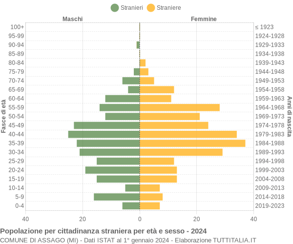 Grafico cittadini stranieri - Assago 2024