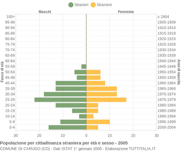 Grafico cittadini stranieri - Carugo 2005