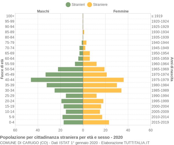 Grafico cittadini stranieri - Carugo 2020