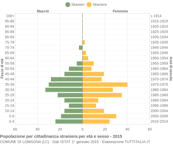 Grafico cittadini stranieri - Lomagna 2015