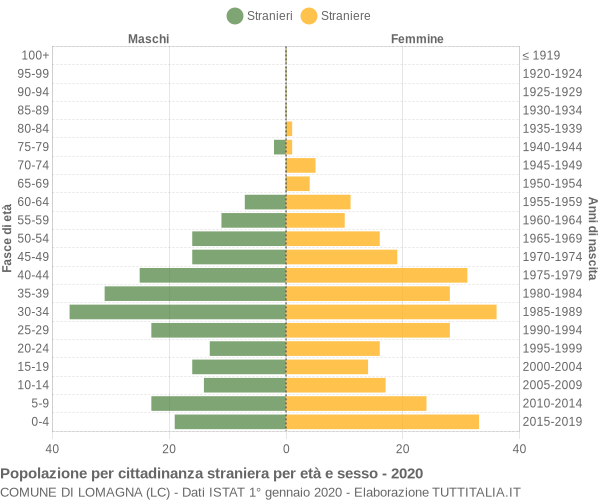 Grafico cittadini stranieri - Lomagna 2020