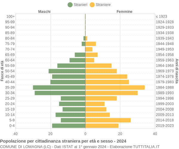 Grafico cittadini stranieri - Lomagna 2024