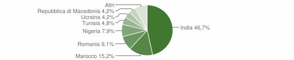 Grafico cittadinanza stranieri - Piubega 2015