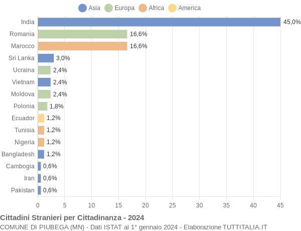 Grafico cittadinanza stranieri - Piubega 2024