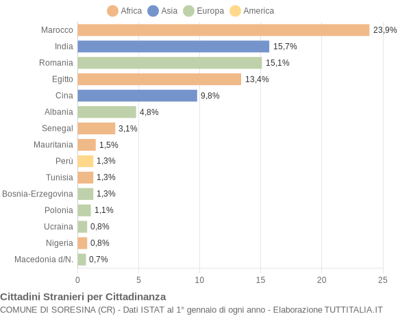 Grafico cittadinanza stranieri - Soresina 2005