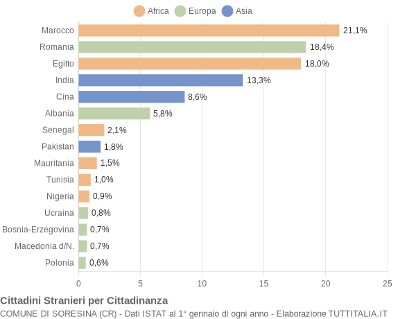 Grafico cittadinanza stranieri - Soresina 2008