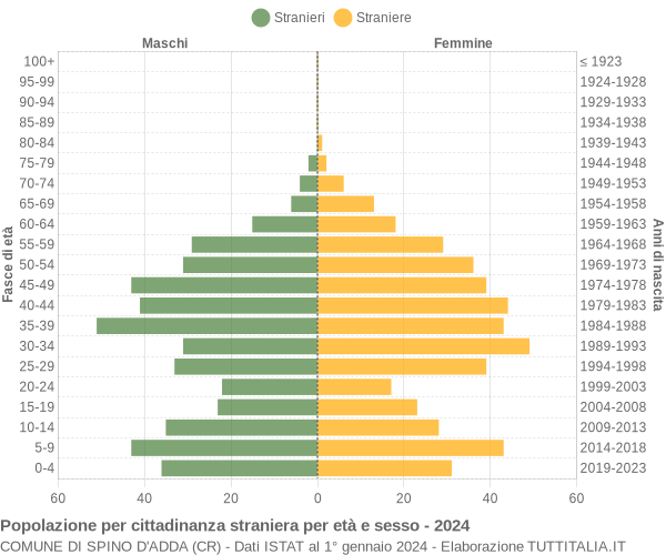 Grafico cittadini stranieri - Spino d'Adda 2024